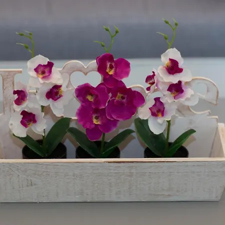 Gæstehus Kukuljica 2 4*